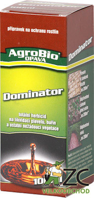 dominátor